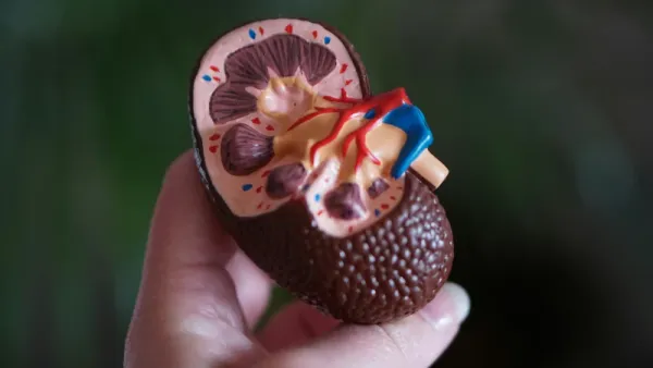 Kidney injuries on Ozempic